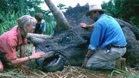 Was wurde aus dem Original-Cast von Jurassic Park?