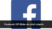 Facebook: GIFs in Kommentaren und in Posts verwenden - so klappts
