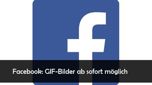 Facebook: GIFs in Kommentaren und in Posts verwenden - so klappts