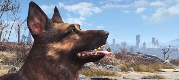 Fallout 4: Stirbt der Hund als Dogmeat?