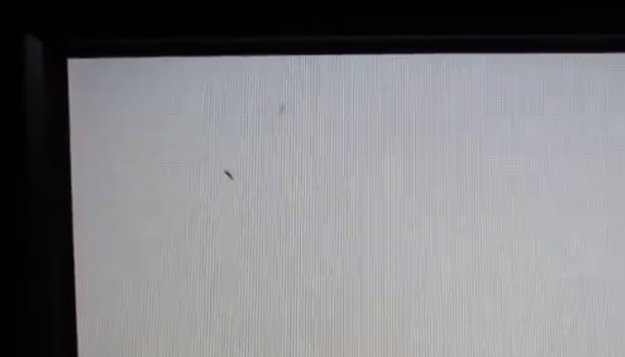Gewittertierchen und Insekten im TFT-Monitor: Was tun?