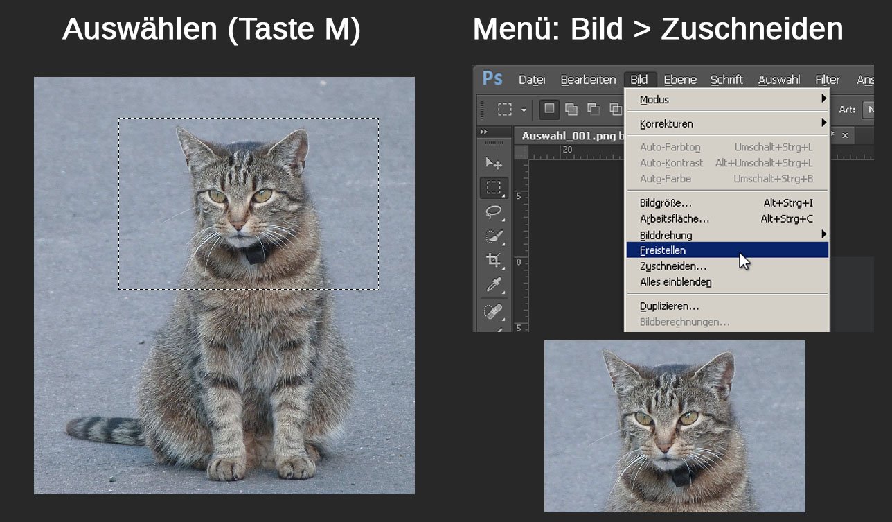 Photoshop Bild Zuschneiden Die Besten 3 Methoden