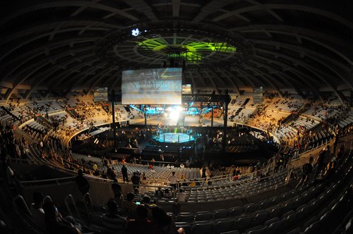 UFC in Deutschland live und im TV sehen