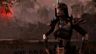 The Elder Scrolls Online: Optimale Rollen und Builds für Templer