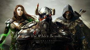 The Elder Scrolls Online: Ein Blick auf den Koop