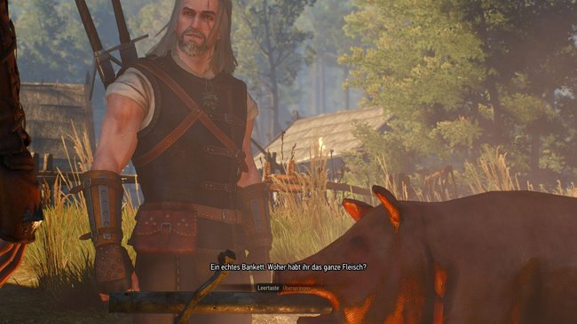 the-witcher3-schweine-quest01