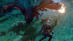 The Witcher 3 Walkthrough: Hexer-Auftrag - Die Kreatur aus dem Wald von Oxenfurt (mit Video)