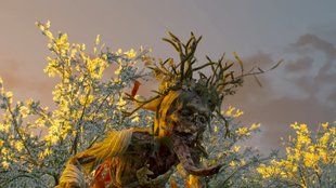The Witcher 3 Walkthrough: Hexer-Auftrag - Die Weiße Dame (mit Video)