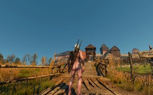 Nackt-Mod für The Witcher 3: Wild Hunt