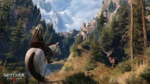 The Witcher 3: Pferde wechseln - geht das?