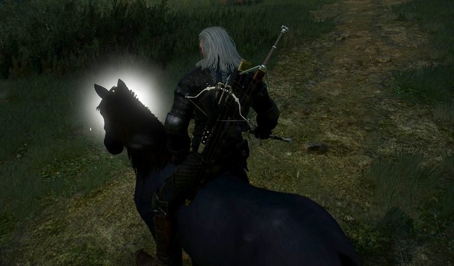 Die Wirkung von Axii erkennt ihr am Leuchten um den Kopf des Pferdes.