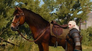 The Witcher 3: Traglast erhöhen - Fundorte aller Satteltaschen, um mehr tragen zu können