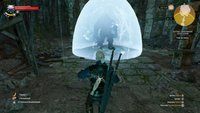 The Witcher 3 Walkthrough: Hexer-Auftrag - Türen werden zugeschlagen (mit Video)