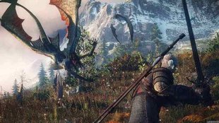 The Witcher 3 Walkthrough: Hexer-Auftrag - Vermisste Patrouille