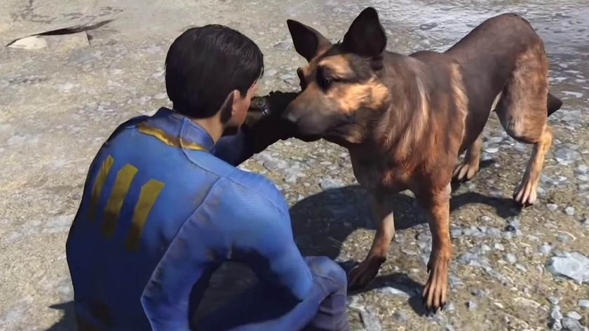 dogmeat trifft protagonisten