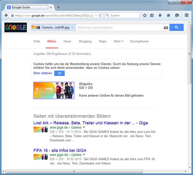 Google findet Bilder im Internet durch die umgekehrte Bildersuche wieder.