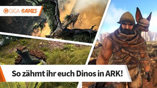 ARK - Survival Evolved: Dinos zähmen - Der ultimative Guide zum Reit- und Haustier