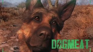 Fallout 4: Dogmeat - Alle Infos zum treuen Hundebegleiter