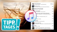 Wiedergabeliste in iTunes mit Foto individualisieren (Mini-Tipp)