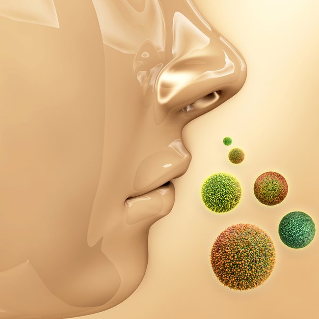 Cortison Nase und pollen