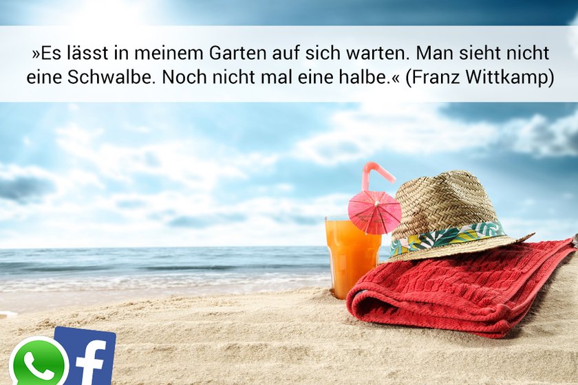 sommer-sprueche-whatsapp-facebook-garten-auf-sich-warten-schwalbe-nicht-mal-eine-halbe