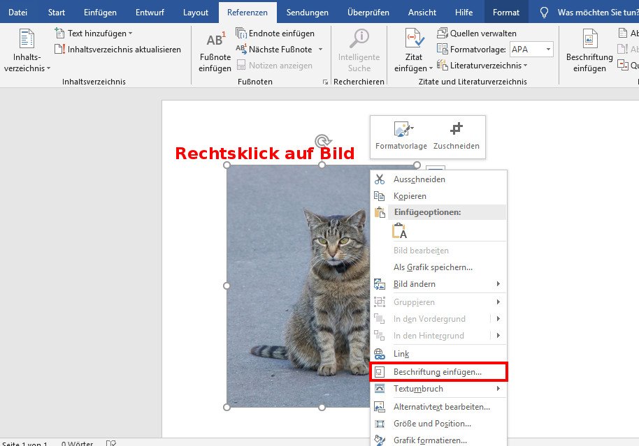 Word Bildunterschrift Einfugen So Geht S