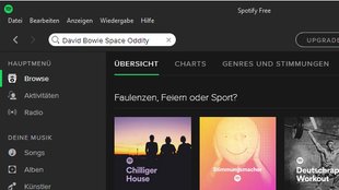 Spotify Download: Client für Windows