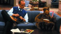 Alf-Sprüche: Die besten Zitate aus 102 Episoden der Kult-Serie