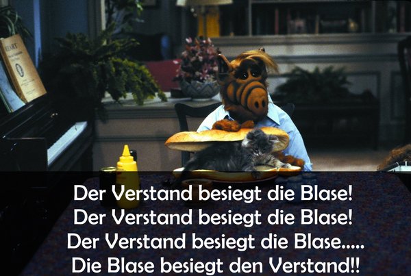 Get Alf sprueche bilder Free