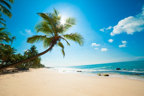 Beach Inspector: Suchmaschine für Strand und Meer