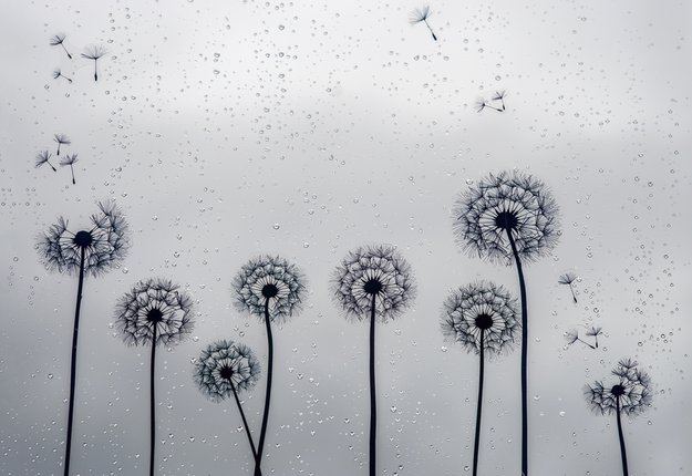 Tattoo Pusteblume: Lasst Blumen sprechen - originelle Pusteblumen-Tattoos