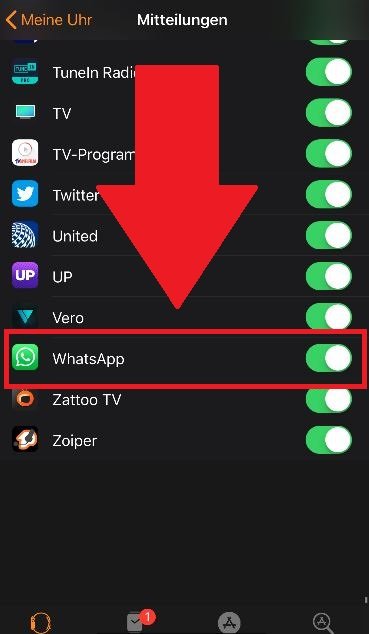 Whatsapp Auf Der Apple Watch Nutzen So Geht S