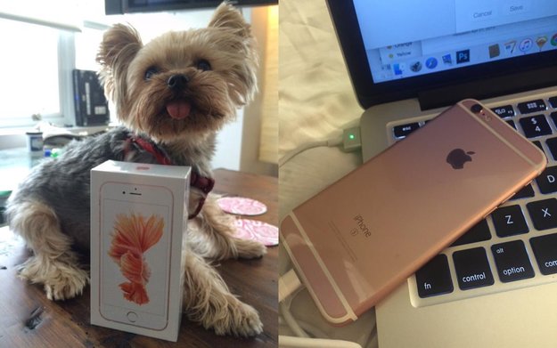 iPhone 6s auch ohne Reservierung im Apple Store - Amerikanerin hatte schon Post