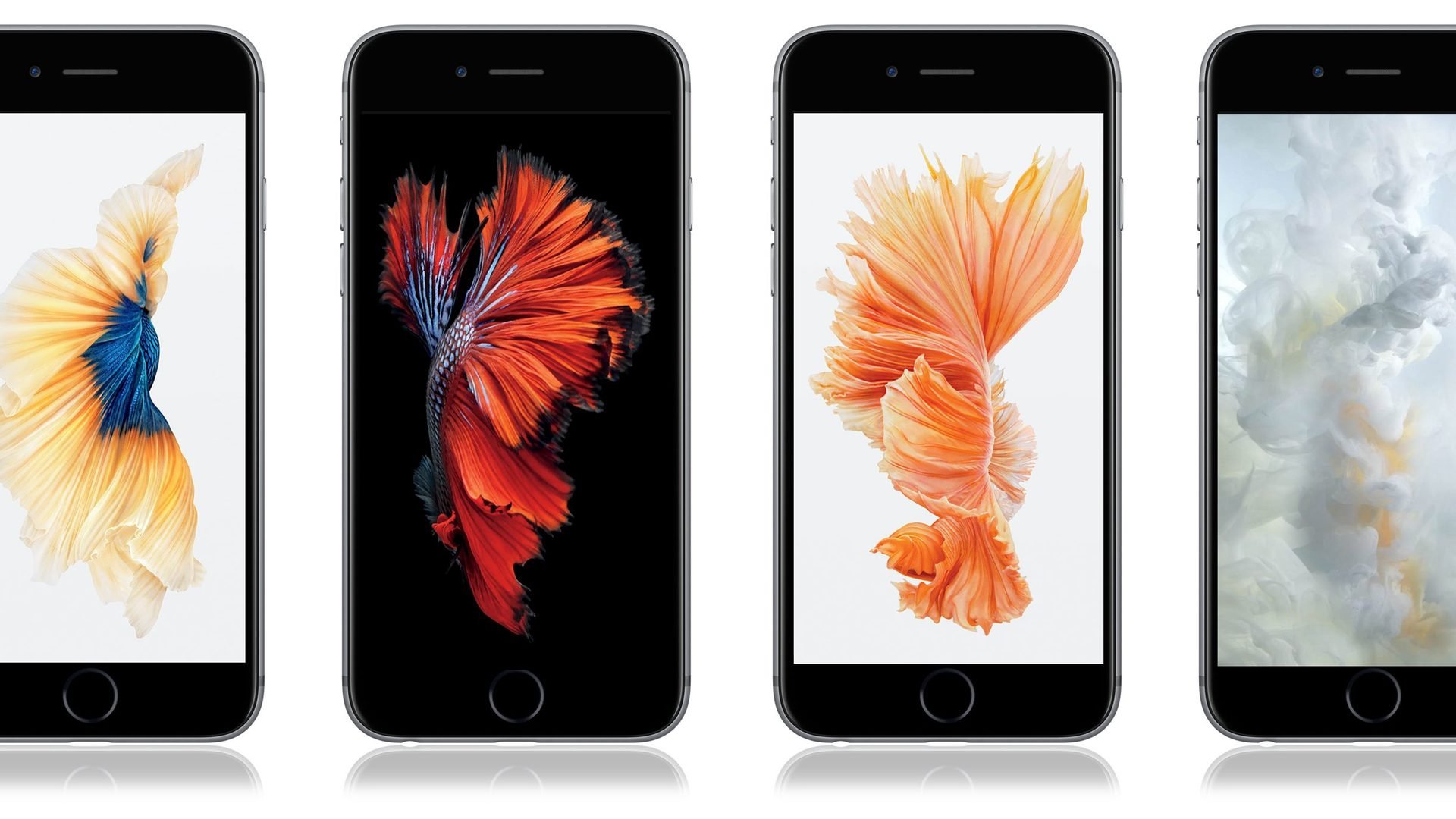 Iphone 6s Wallpaper Zum Download Diese Gibt S Nicht In Ios 9