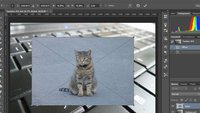 Photoshop: Bild einfügen – So geht's