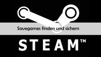 Steam: Savegames finden und sichern – in welchem Ordner?