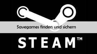 Steam: Savegames finden und sichern – in welchem Ordner?