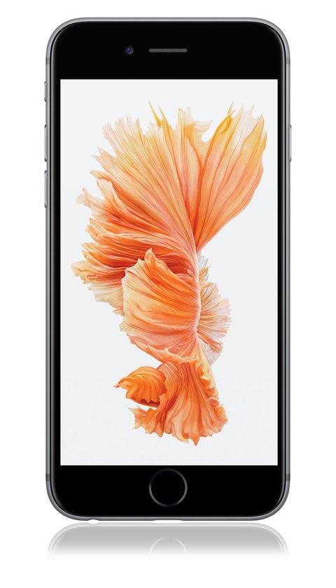 Iphone 6s Wallpaper Zum Download Diese Gibt S Nicht In Ios 9