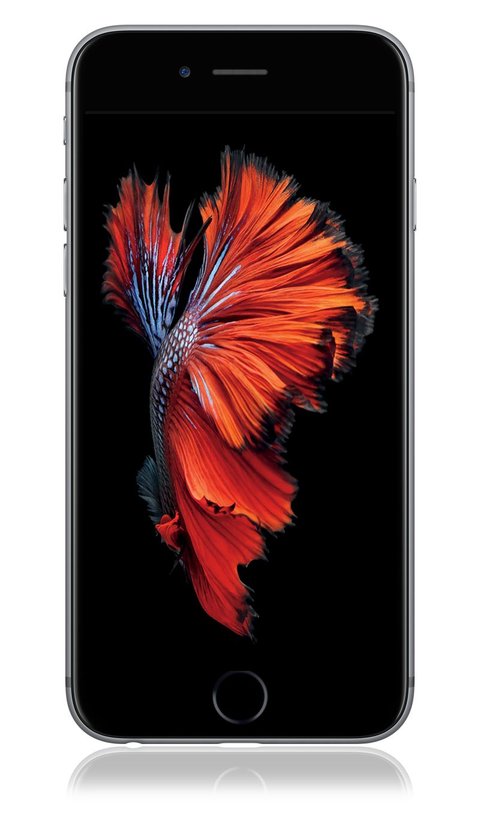 Iphone 6s Wallpaper Zum Download Diese Gibt S Nicht In Ios 9