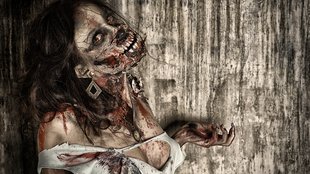 Nach einem Zombie-Biss: Wie lange würdet ihr überleben?