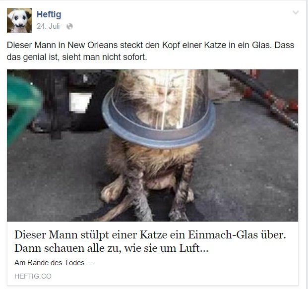 Clickbait von Heftig die Katze im Glas