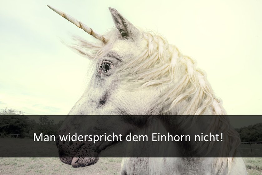 shutter-einhorn-1