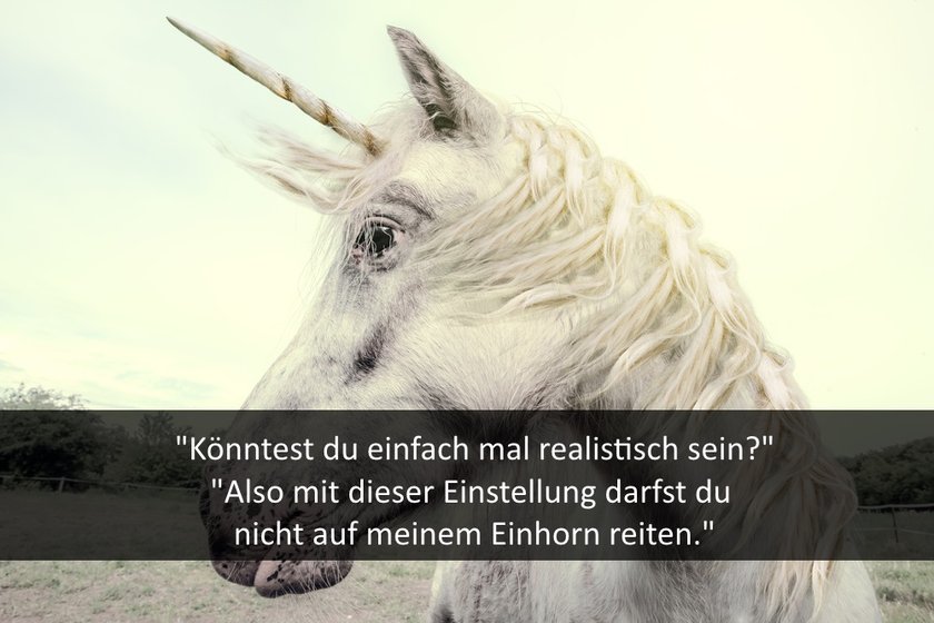 shutter-einhorn-3