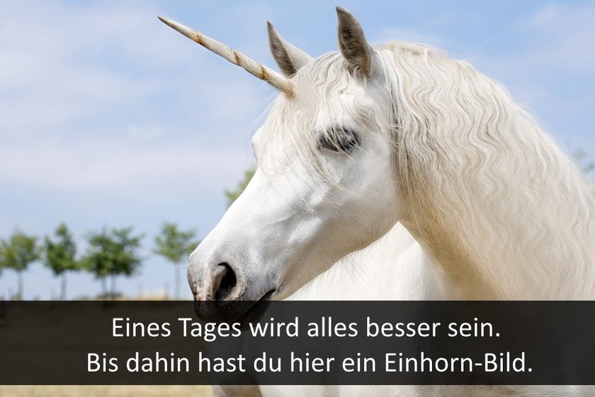 shutter-einhorn-6