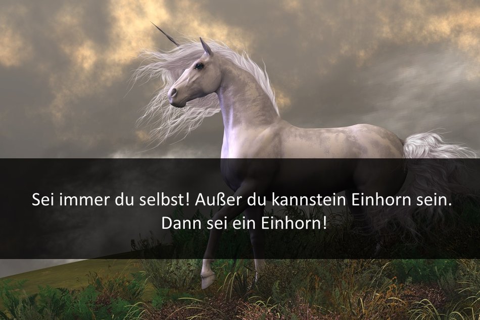 EinhornSprüche Cool, gut und lustig für WhatsApp, Facebook und zum