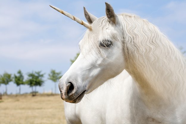 Einhornkotze: Smoothie zum Internationalen Tag des Einhorns