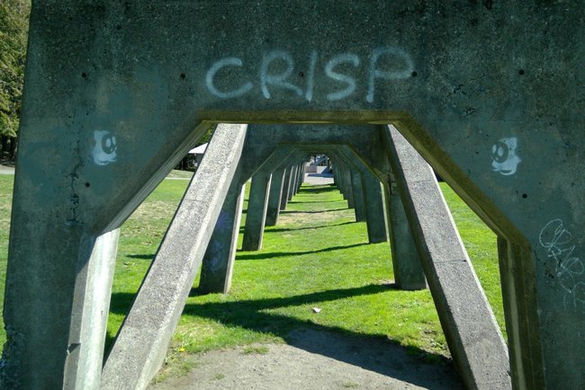 Crisp_Surface_CameraPro-1024x683