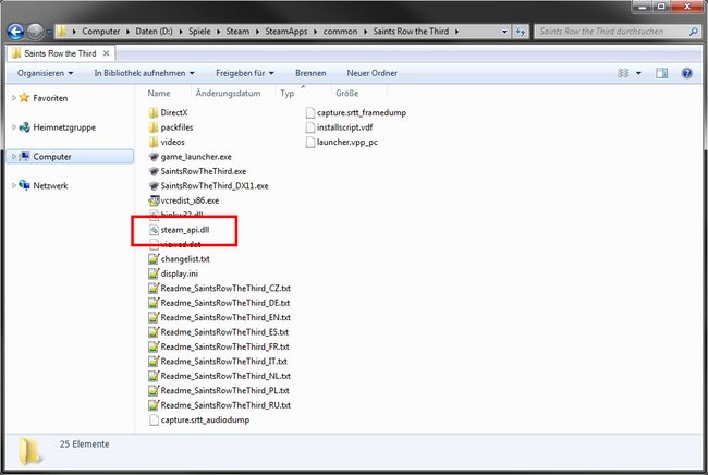 Steam: Die Datei Steam_api.dll wurde ins Spielverzeichnis kopiert.