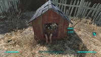 Fallout 4: Begleiter wiederfinden, wechseln und ausrüsten - so verwaltet ihr eure Companions