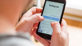 Instagram-Suche: Mitglieder und Bilder finden – auch ohne Anmeldung